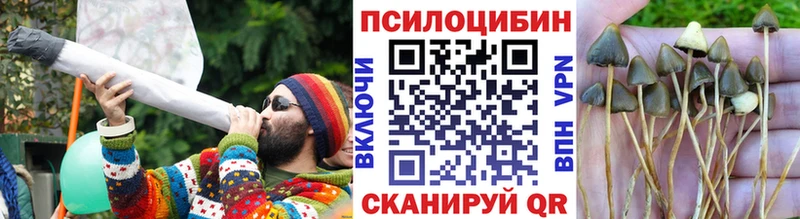 Галлюциногенные грибы Psilocybine cubensis  Купить  Разумное 